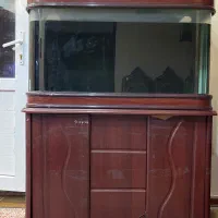 آکواریوم|ماهی|کرمان, |دیوار