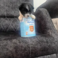 واگذار واگذار  سایز 0