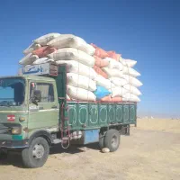 کاه دیم ریز کرمانشاه دور میدان نگین|حیوانات مزرعه|دهلران, |دیوار