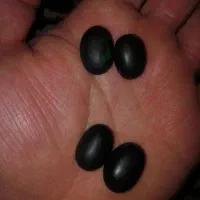 مهره و سنگ اصلی|جواهرات|بندر دیر, |دیوار