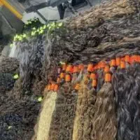 (خریدار) اصلی مو طبیعی قیمت ویژه بزرگترین شعبه قم|خدمات آرایشگری و زیبایی|قم, سالاریه|دیوار