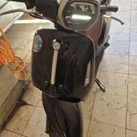 پانارئا مشکی