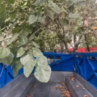 نیسان 1402|خودرو سواری و وانت|تهران, استاد معین|دیوار