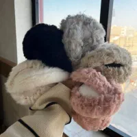 گوش گیر تدی تاشو