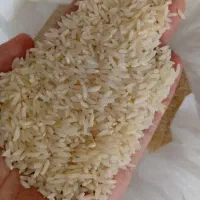 برنج|خوردنی و آشامیدنی|گمیشان, |دیوار