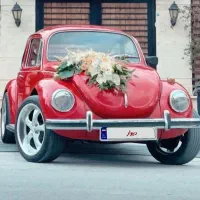 اجاره فولکس بیتل قورباغه ای برای مراسمات عروسی