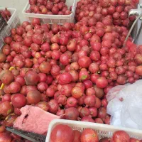 انار ساوه شیرین