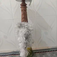 قلیون چوب گردو نو