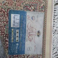 فرش ۹ متری الماس کویر طرح بهشت در حد نو|فرش|یزد, |دیوار