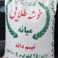 لاشه برنج طارم کاظمی و میانه ممان و خوشپخت کالابرگ