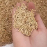 جوفروش دانه درشت