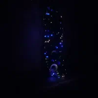 سیم کارت همراه اول