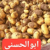 سیب متوسط سیب زمینی درهم|عمده‌فروشی|بهار, |دیوار