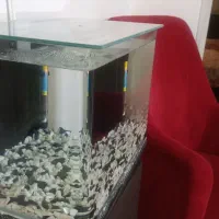 آکواریوم با وسایل