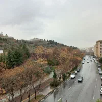 103متر-شیان-ویو-جنگل