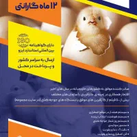 دستگاه جوجه کشی هدایت|ماشین‌آلات صنعتی|آستانه اشرفیه, |دیوار