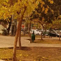 نیازمند وام گیرنده بصورت قانونی