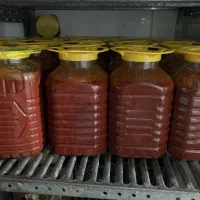 رب خانگی اصل|خوردنی و آشامیدنی|کرج, جهان‌شهر|دیوار