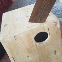 لونه طوطی راهب|لوازم جانبی حیوانات|رشت, حومه رشت|دیوار