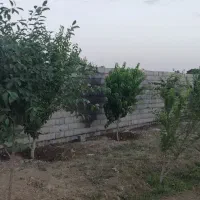 زمین-باغی-1000متر