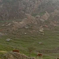 فروش وام رسالت