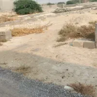 زمین جهاد اباد|فروش زمین و ملک کلنگی|بندر دیر, |دیوار