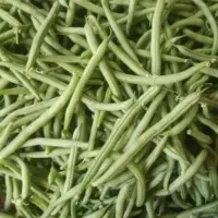 لوبیا سبز