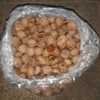 گردوفسنجونی