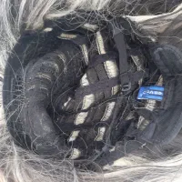 کلاگیس|کلکسیون و سرگرمی|زنجانرود, |دیوار