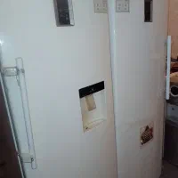 دوقلو سینجر سالم به شرط 15تومن