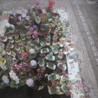 گلهای تزئینی|گل مصنوعی|اسلامشهر, شهرک امام حسین (میان آباد)|دیوار