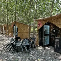 ویلای جنگلی با شرایط پرداخت منعطف|فروش خانه و ویلا|ماهدشت, |دیوار