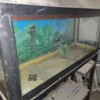 آکواریوم بزرگ