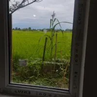 زمین ۲۸۰متری به همراه بنای ۶۰متری درجاده بین الملل|فروش زمین و ملک کلنگی|رشت, لاکان|دیوار