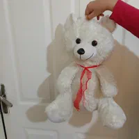 خرس سفید ومورچه