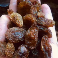 خریدوفروش عمده مویزو کشمش|عمده‌فروشی|شیراز, ارم|دیوار