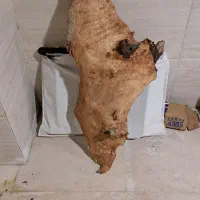 چوب مخصوص مجسمه سازی و خراطی