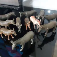 فیگور عروسک حیوانات|اسباببازی بچه|کاشمر, |دیوار