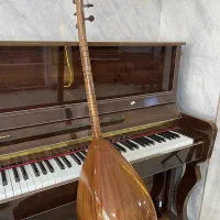 فروش|سازهای سنتی|تبریز, |دیوار