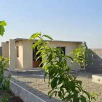 باغچه بنادار در کوچه باغ