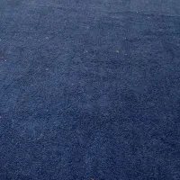 دو عدد پالاز موکت12متری