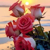 حواله سهندsطرح فوق العاده