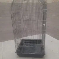 قفس