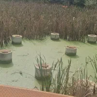 کارگر ساده رشت مرداب سراوان