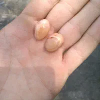 مهره عقیق یمنی اصل