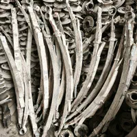 فنر تخت عقب وانت پیکان