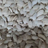 تخم کدو تخمه آفتابگردان (شور)