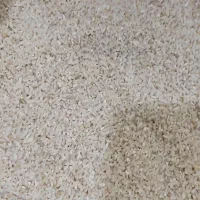 برنج لاشه هاشمی