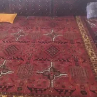 قالی دستباف|فرش|قائن, |دیوار