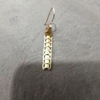 این گوشواره گم شده